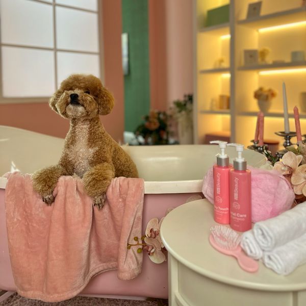 Conditioner "Silky Touch" for dogs and cats HOME FOOD Beauty, 200 ml