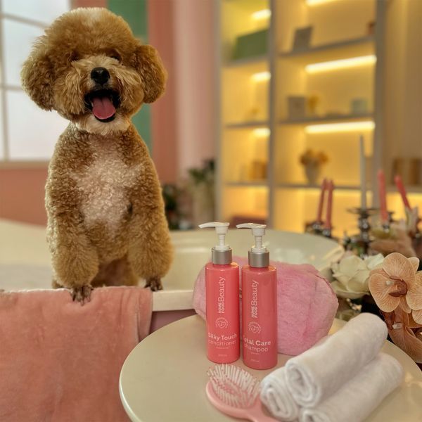 Conditioner "Silky Touch" for dogs and cats HOME FOOD Beauty, 200 ml