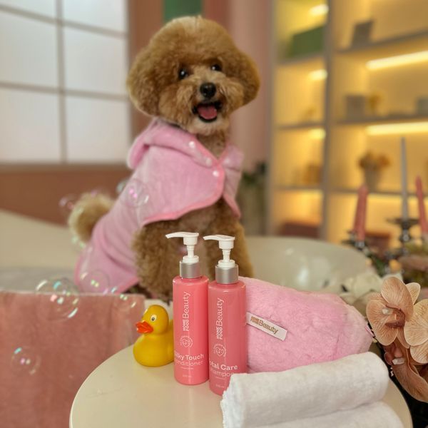 Conditioner "Silky Touch" for dogs and cats HOME FOOD Beauty, 200 ml