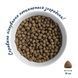 Complete nutritive dry food HOME FOOD for small breed adult dogs Meaty Blend Balanced Formula, 300 g