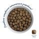 Complete nutritive dry food HOME FOOD for medium breed adult dogs Meaty Blend Balanced Formula, 300 g