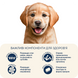Complete hypoallergenic dry food HOME FOOD for medium and large breeds of puppies Trout and rice, 1.6 kg