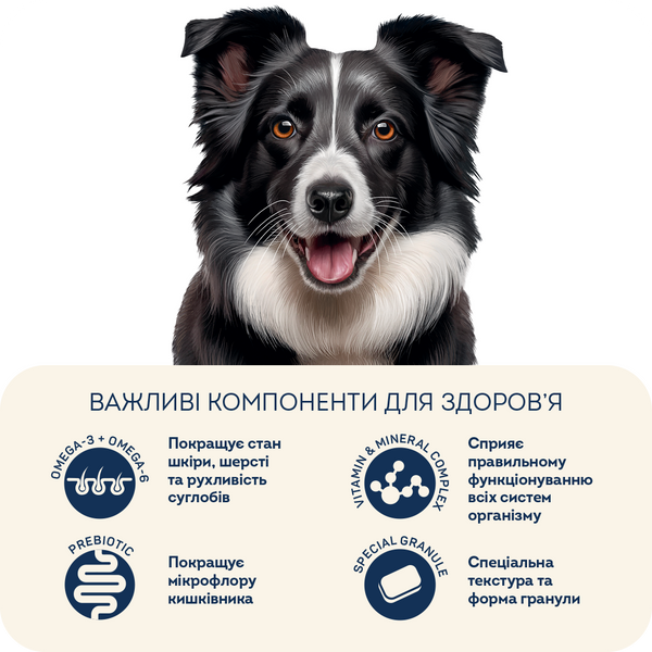 Сухий корм HOME FOOD для активних дорослих собак і юніорів середніх та великих порід Ягнятина та рис For active adult and junior dogs, 10 кг 1048100 фото
