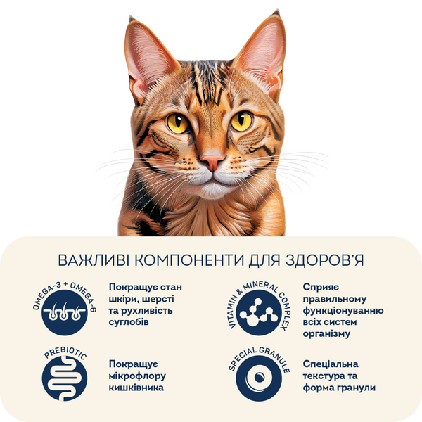 Complete dry food HOME FOOD for active adult cats Chicken and Shrimp, 1.6 kg